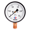 ТМ-310Р, 0…0,1...1,6... 60 МПа, манометр радиальный