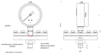 Мембранные разделители. Диапазон рабочих давлений от -0,1 до 160 МПа, диапазон рабочих температур зависит от типа наполнителя. Разделительная жидкость: предлагается Производителем, может корректироваться Заказчиком; Силиконовая жидкость ПМС-200 (ГОСТ 13032-77) или аналог; Масло для пищевой промышленности L-1232FM (допуск пищевого стандарта NSF-H1 ) или аналог; другая разделительная жидкость по запросу. Варианты поставки: без средства измерения, в сборе со средством измерения, в сборе со средством измерения и соединительным рукавом (длина 2; 2,5; 3, 3,5; 4; 4,5; 5 м).
